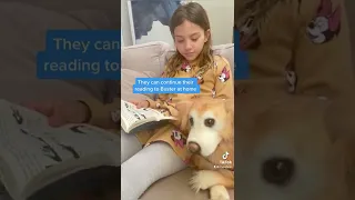 Therapy Dog Buster Helps Kids With Reading Anxieties | Petsies©