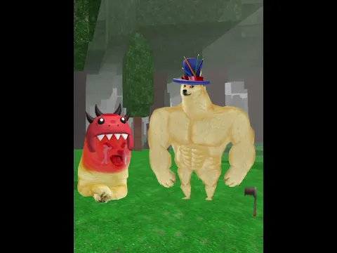 When you playing with Admin in 99 nights..