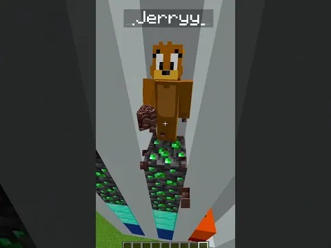 Face Reveal Block Game! 💀