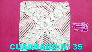 PARTE 1 Cuadrado, cuadro o muestra N° 35 tejido a  crochet con flor rosita y hojas para cojines