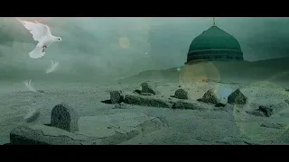 #ya Ali ❤️🥰😍😘🌹#noha