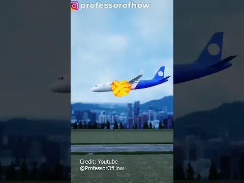 Apa yang terjadi saat Bird Strike? #pilot #aviation #vincentraditya #airbus #aircraft #pesawat