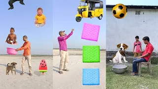 Crying babies catching, biscuits to car & footbal to animals- Vfx magic live