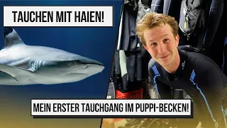 Im AQUARIUM mit HAIEN tauchen!