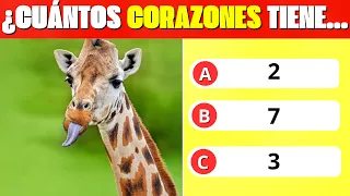 🧠23 Preguntas de ANIMALES  🐘 🐼 🐦‍🐢 Test de animales y CULTURA GENERAL ✅