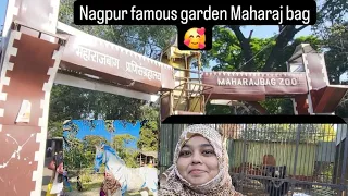 Nagpur ka famous Garden Maharaj Bag full watch karo video🥰💯#viral #vlogs #youtubevideos #video