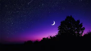 Relaxing Sleep Music • Calm Piano & Guitar, Sleep Music, Study Music, Deep Sleep Music