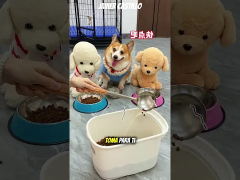 🍽️ ¡Hasta el peluche come más que yo! 😡😂