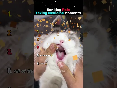 Ranking Pets Taking Medicine Moments