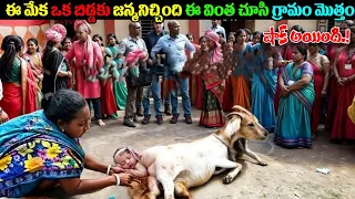 ఈ మేక ఒక బిడ్డకు జన్మనిచ్చింది ఈ వింత చూసి గ్రామం మొత్తం షాక్ అయింది | Intresting Facts In Telugu