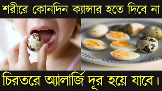 সকালে খালি পেটে ৪ টি করে কোয়েল পাখির ডিম খেলে কি হবে জানেন? জানলে প্রতিদিন খাবেন !