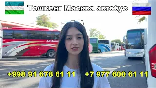Ташкент-Москва автобус | Moskva-Toshkent | Москва-Ташкент автобус |  Toshkent-Moskva #shorts #viral