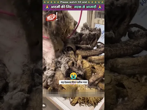 आदमी की जिद : नरक से आजादी 🙏 #animal #animals #animallover #animalrescue #dog