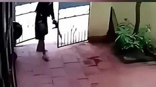 This Dog Acted Dead to Save Little Girl LIVE 🥹