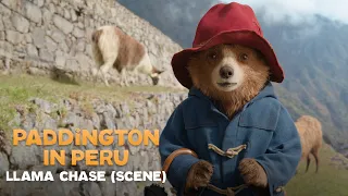 PADDINGTON IN PERU – Llama Chase (Scene)