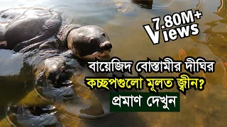 হযরত বায়েজিদ বোস্তামীর দীঘির কচ্ছপগুলো জ্বীন? | Bayazid Bastami shrine in Chittagong
