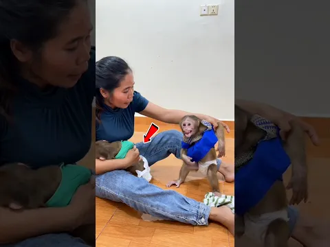 Old Monkey Just Wanted Love 🐒😍 #shorts