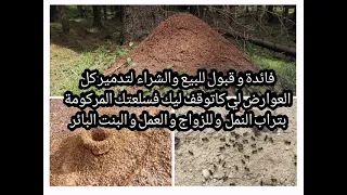 فائدة و قبول للبيع والشراء  لتدمير كل العوارض بتراب النمل  و للزواج و العمل و البنت البائر