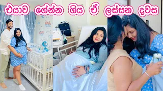එයාව ගේන්න ගිය ඒ ලස්සන දවස 💙| First day in the hospital | Baby nursery tour | Life in Japan 🇯🇵