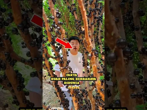 Hah😱,Buah Paling Berbahaya Didunia⁉️