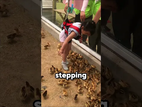 This Girl Got a Baby Chick From the Zoo 🐥❤️