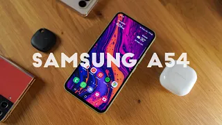 Review Samsung A54 - Beli sekarang buat 2/4 tahun kedepan