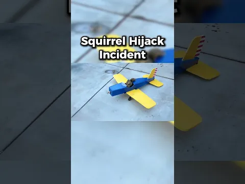 Squirrel Took Over The Plane On FlightRadar24 😱