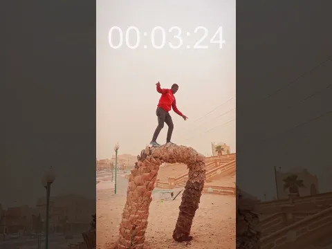 من يصعد الشجرة باسرع وقت ممكن #الروقة #العاب