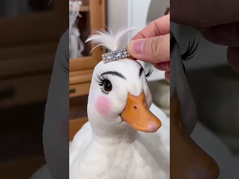 Diese Enten sind einfach unglaublich! 🦆😂