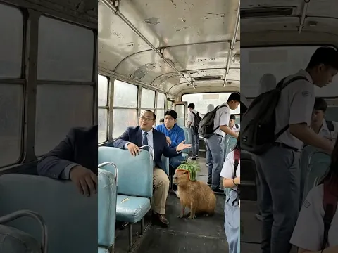 Kekacauan Bus Sekolah Capybara! Guru Terjebak di Kursi Berlem 😱🚌