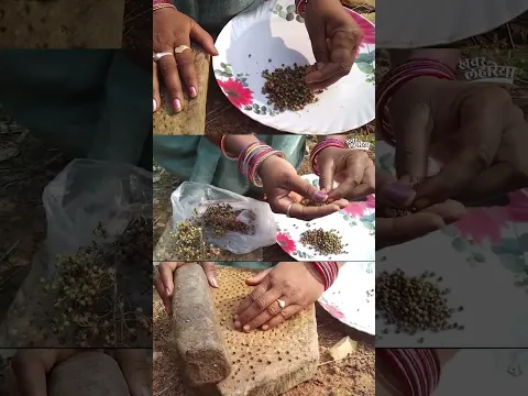 धात का रामबाण इलाज है मेहंदी | KhabarLahariya