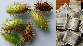 लाखों की दवाइयाँ भी फेल है मिल जाए तो छोड़ना मत // पैसा ही पैसा आएगा.#धन_प्राप्ति_के_उपाय #2026 