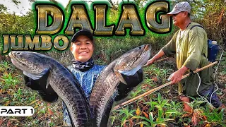 EP891-P1 - Electric Fishing in a Private Property