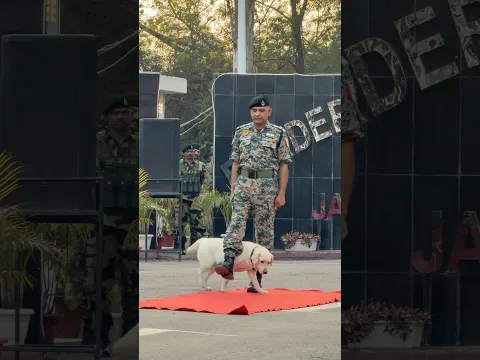 Bsf Jawan👮🏻‍♂️And Intelligent🫡 Bsf Dog🐶 #dog #dogshorts #dogs #bsf #republicday #shorts #respect