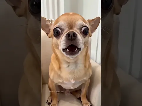 #bts