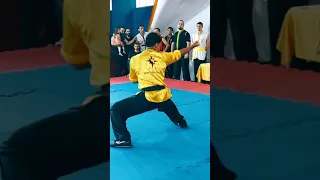 Kung Fu a melhor arte marcial que existe