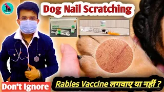 Dog Nails Scratching 😱 VACCINE लगवाए या नहीं ? 🤔 || Scratch करने पर भी RABIES होता है ? All Doubt ✅