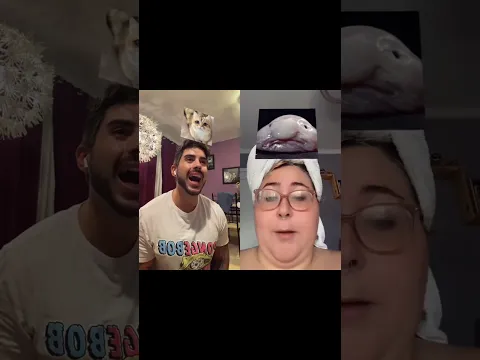 PAPU HERIDO