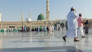 live Masjid Al  Nabbvi