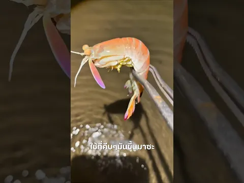 พี่จีนทำอาหารริมทะเล 🦪