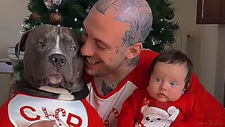 कुत्ता, बच्चा और उनके मम्मी पापा | Dog, cute baby and family 🥰 @ProfessorNitin #love #dog