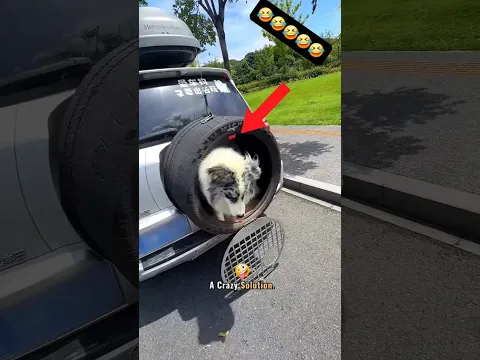 Dog’s Genius Car Hack! 😂🐶 #shorts #viral #trending #usashorts #viralvideo