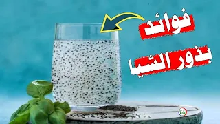 فوائد بذور الشيا، 10 فوائد مذهلة تجعلك تتناول بذور الشيا يومياً شاهد ما سيحدث لك