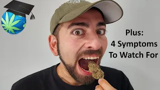 Eating RAW Weed (Taste Test) + Symptoms Of THC Overload Ft. WD420 Glass