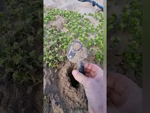 100+ years this strange thing has been waiting for me underground