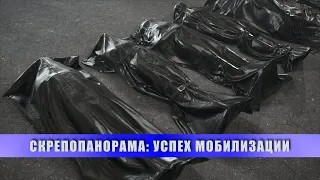 СКРЕПОПАНОРАМА: УСПЕХ МОБИЛИЗАЦИИ