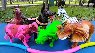 รวมเหล่าสัตว์ ช้าง ม้า วัว ควาย สุนัข เดินเล่นบนพื้นสีฟ้าในสวนหญ้า Zebra Cow Buffalo Horse Elephant