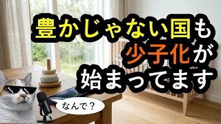 【豊かじゃない国も】人口統計マニアの僕が語る少子化の理由
