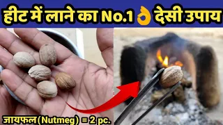 गाय/भैंस को हीट में लाए मात्र 2-3 दिनों में👌| Heat problem solution in dairy farm|Cow/Buffalo Heat.