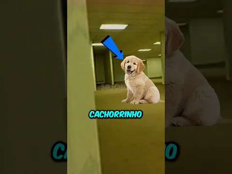 SE UM CACHORRO CAIR NAS BACKROOMS!!